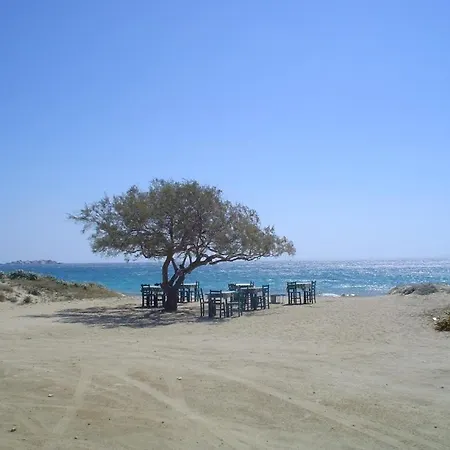 Stamatis' Place *